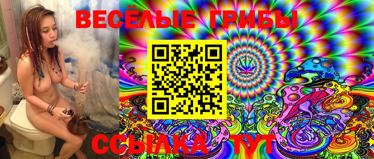 Псилоцибиновые грибы Psilocybe Стерлитамак
